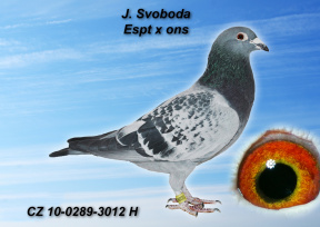 Pre zv��enie klikni na obr�zok